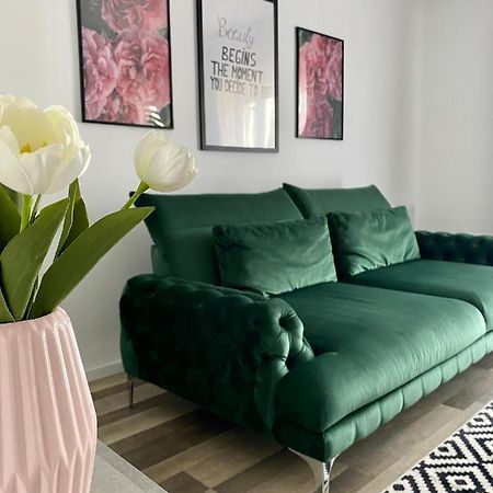 Velvet Studio Târgu-Mureş Zewnętrze zdjęcie