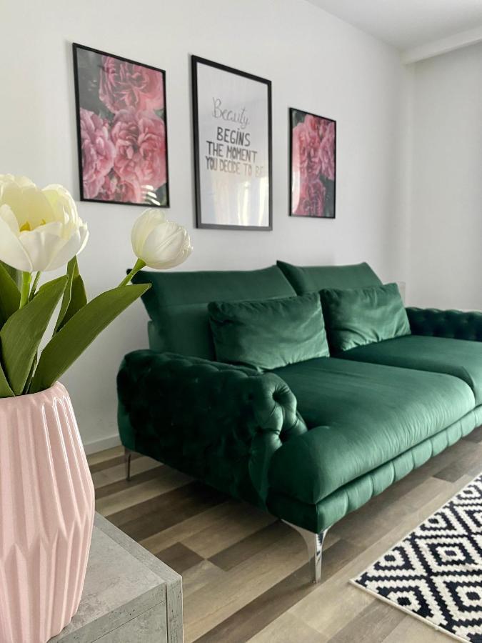 Velvet Studio Târgu-Mureş Zewnętrze zdjęcie
